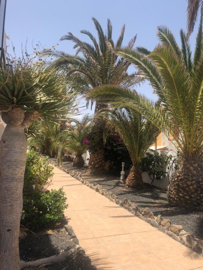Apartamento Sunny Complex Amaya Fuerteventura Costa De Antigua Zewnętrze zdjęcie